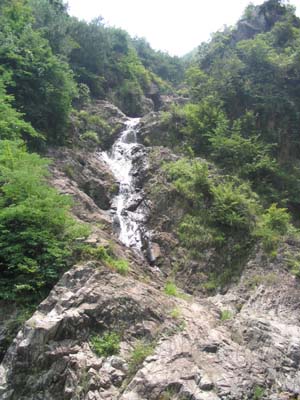 ����´��ڴ򿪴�ͼ