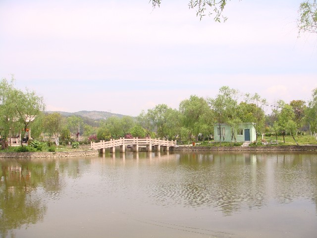 ����´��ڴ򿪴�ͼ