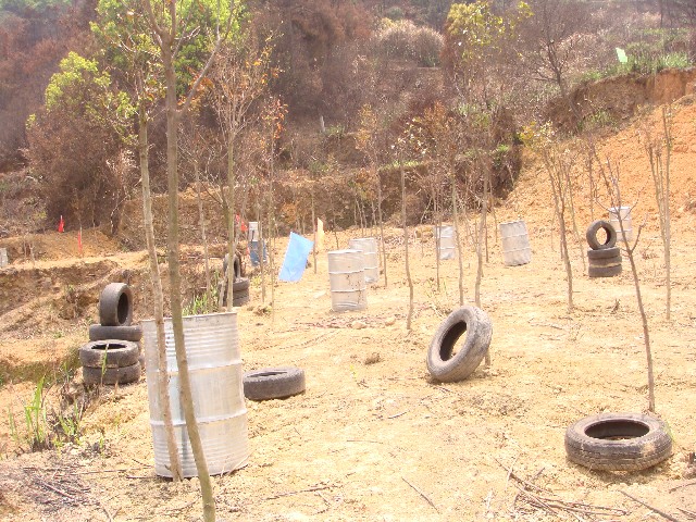 ����´��ڴ򿪴�ͼ