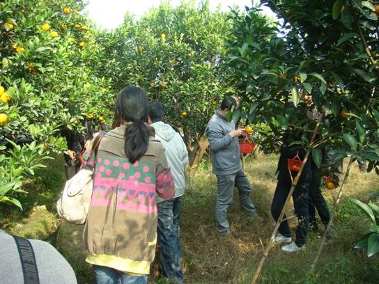 ����´��ڴ򿪴�ͼ