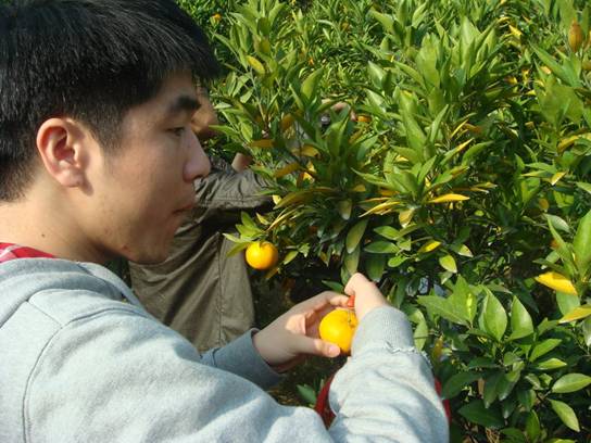 ����´��ڴ򿪴�ͼ