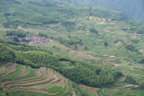 ����´��ڴ򿪴�ͼ