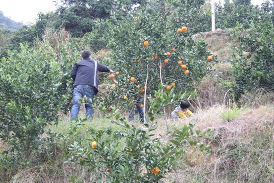 ����´��ڴ򿪴�ͼ