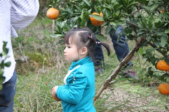 ����´��ڴ򿪴�ͼ